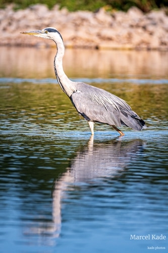  | NIKON Z 6 @ 300mm | 1/500 s,  &fnof;/5.6, ISO 100 |