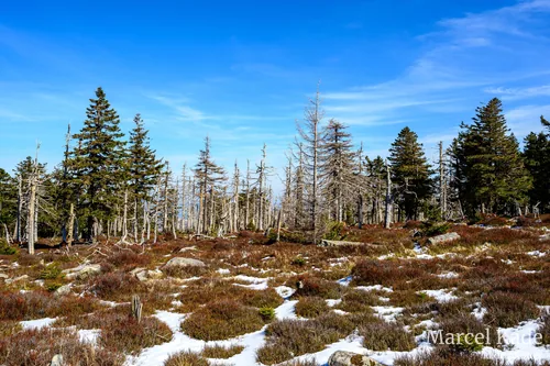 Brocken 00004