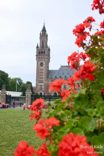 Den haag 00002