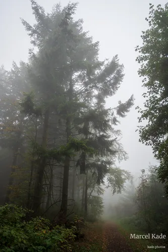 Donnersberg adlerbogen 00002