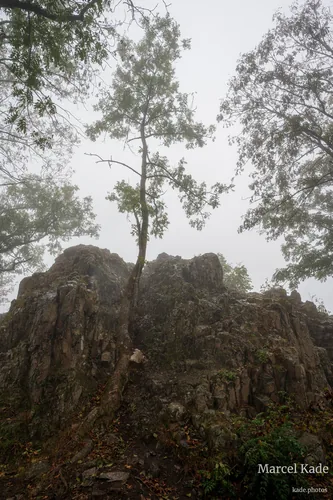 Donnersberg adlerbogen 00003