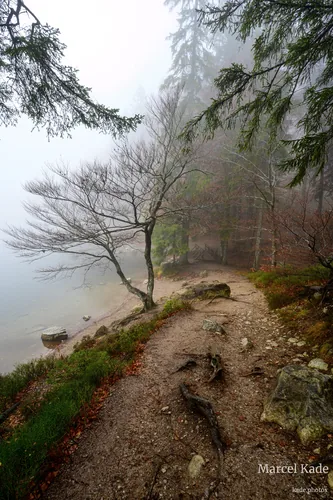 Feldsee 00005